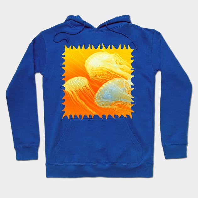 Jellyfish of the Orange Marmalade Hoodie Hoodie by distortionart